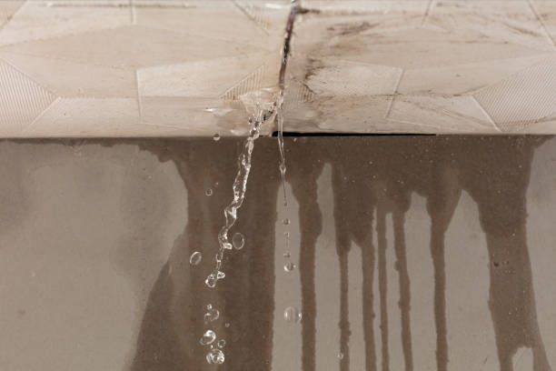 Professional Water Damage Inspection technician working in Eau Claire, WI